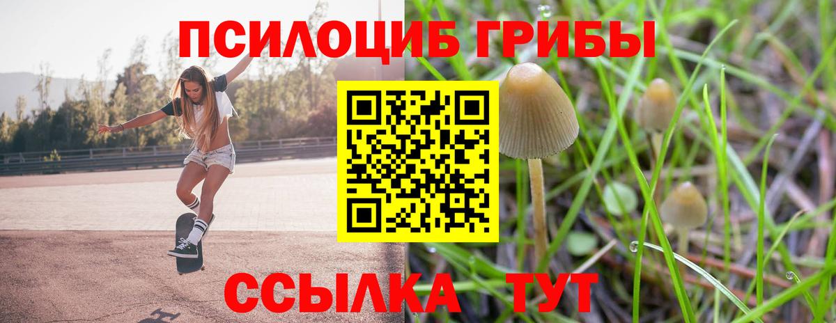 Псилоцибиновые грибы MAGIC MUSHROOMS  Вход с VPN  Псилоцибиновые грибы MAGIC MUSHROOMS  Губкин 