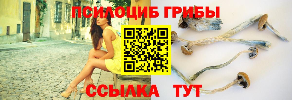 Псилоцибиновые грибы прущие грибы Губкин